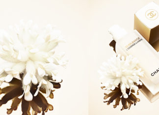 مستحضر مذهل من شانيل لبشرة قادرة على مواجهة كافة العوامل الخارجية…تعرفي عليه!