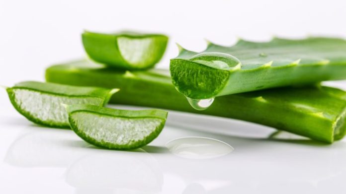 aloe-vera-gel-uses-723x406