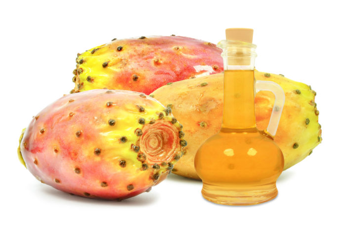 oil of prickly pear