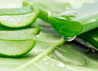 فوائد جل الصبار للشعر وأفضل طريقة لاستخدامه