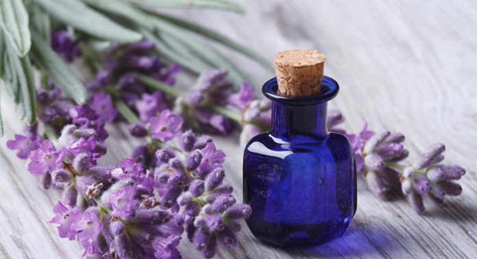 lavender oil