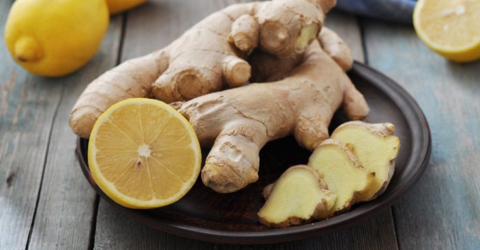 Lemon-Ginger-Zinger-Kombucha_header