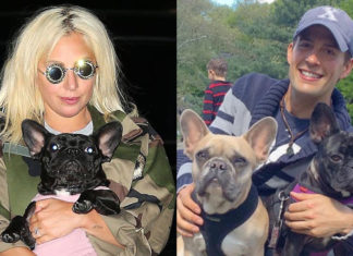 حارس كلاب ليدي غاغا: كنت على وشك الموت