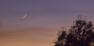 اول يوم عيد الفطر 2024