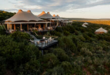 محمية شمواري تنضم إلى محفظة رير فايندز وتعيد تعريف رحلات السفاري الفاخرة