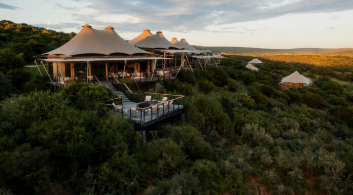 محمية شمواري تنضم إلى محفظة رير فايندز وتعيد تعريف رحلات السفاري الفاخرة